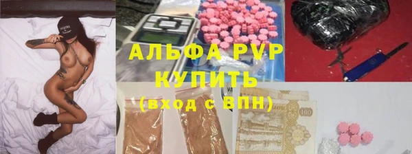 индика Волосово