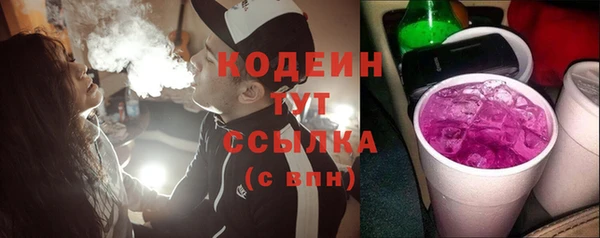 индика Волосово