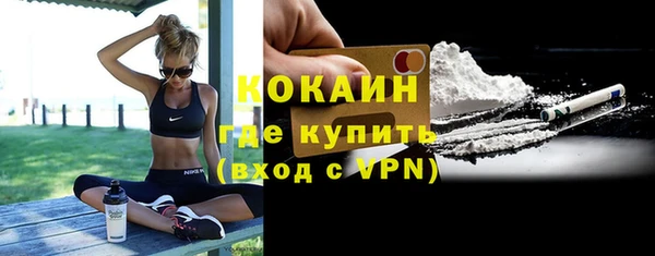 индика Волосово