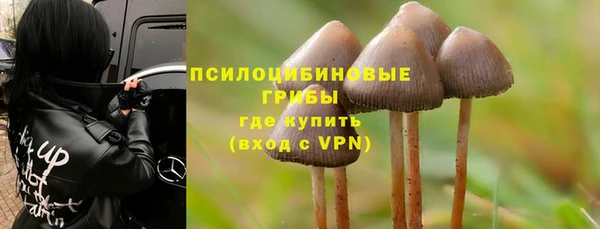 индика Волосово