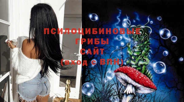 индика Волосово