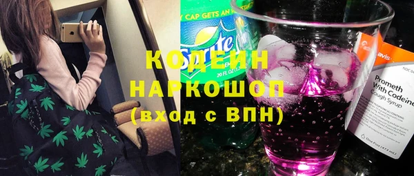 индика Волосово