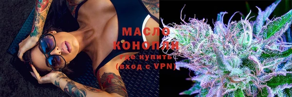 индика Волосово