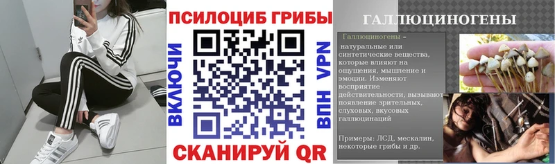 Галлюциногенные грибы MAGIC MUSHROOMS  Купить закладки  Костерёво 